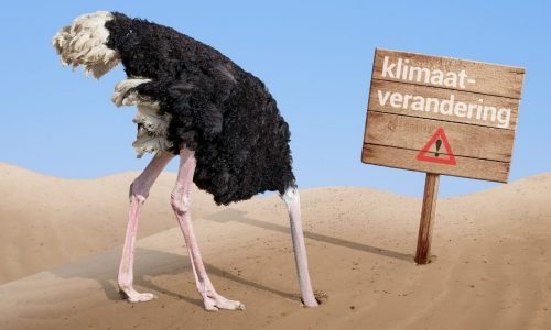 Ben je een klimaatstruisvogel of juist een duurzaamheidsgoeroe? 