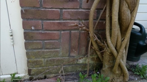 Beun de beunhaas isoleert een woning en sluit gelijk de ventilatie af Beun de beunhaas isoleert een woning en sluit gelijk de ventilatie af
