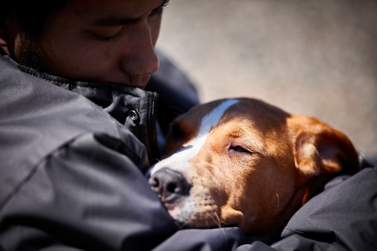 Meneer houdt zijn hond vast