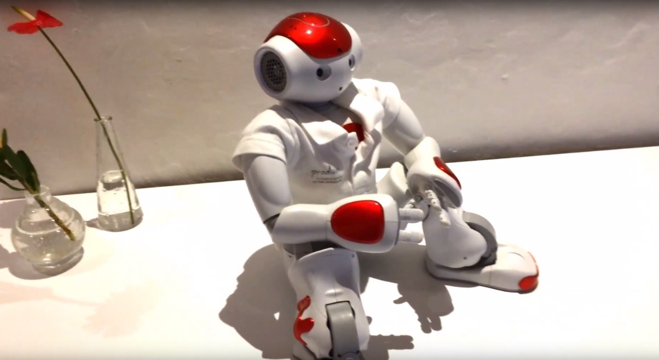 Robot in huis