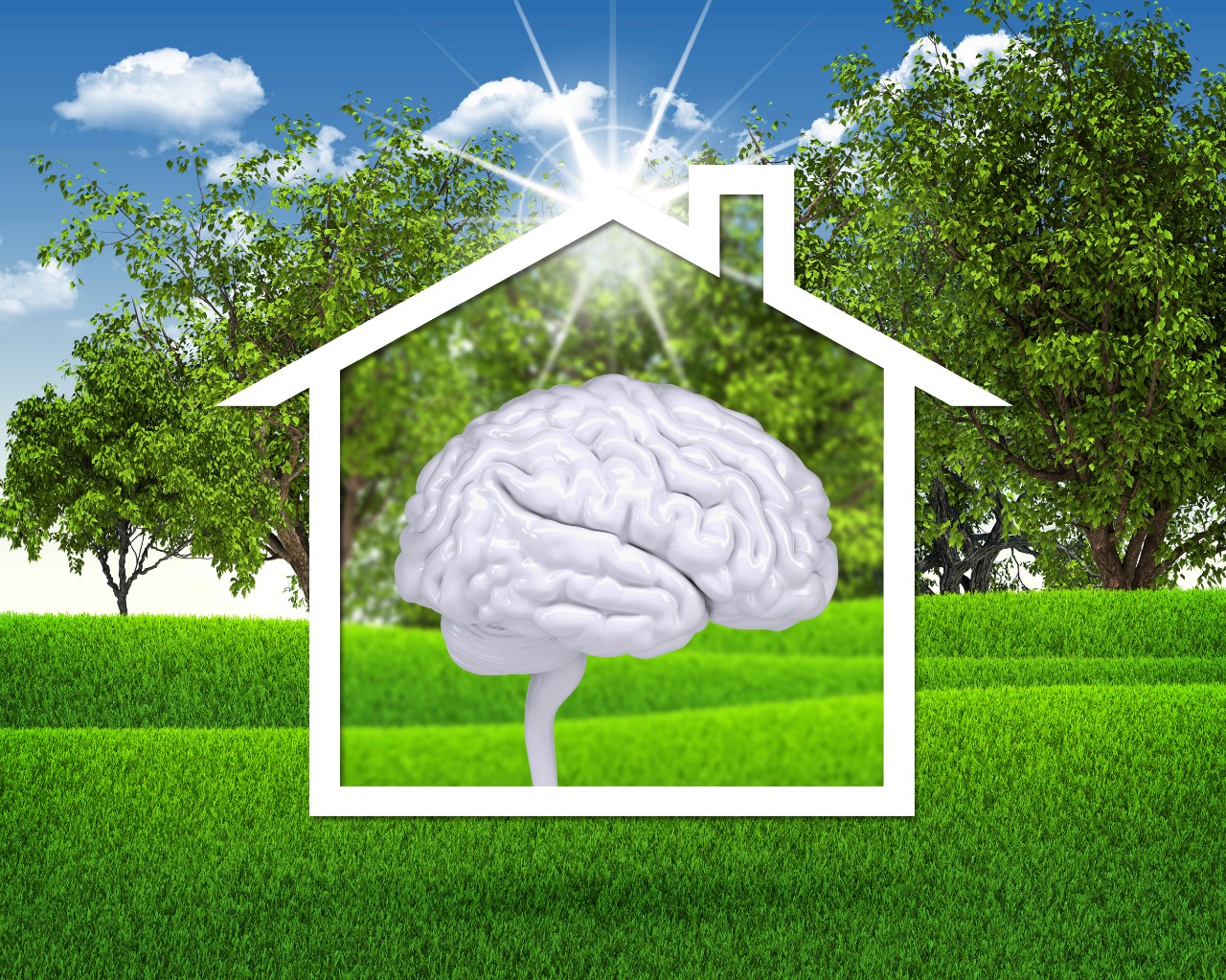 Illustratie slimme woningen: hersens in een huis