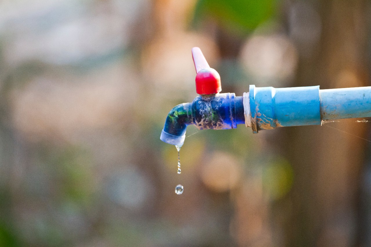 Opgevangen regenwater kunt u gebruiken in de tuin, om de auto te wassen en zelf voor toilet en wasmachine. Opgevangen regenwater kunt u gebruiken in de tuin, om de auto te wassen en zelf voor toilet en wasmachine.