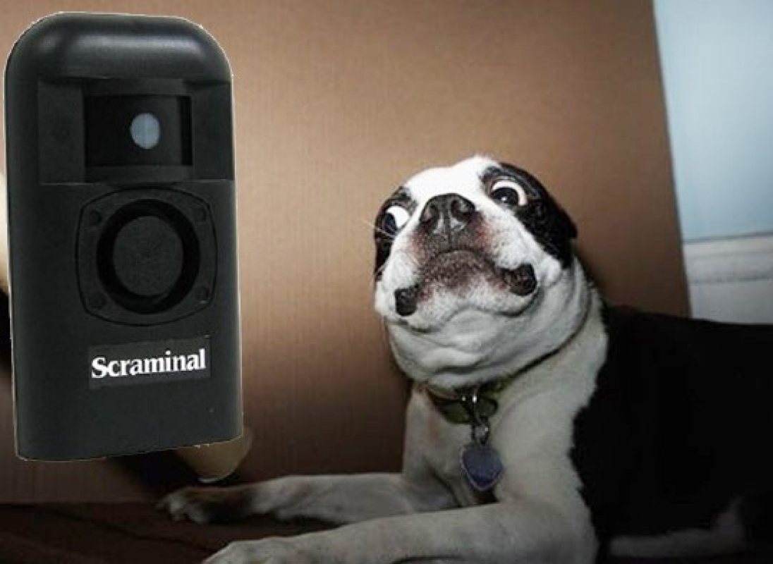Scraminal Scraminal