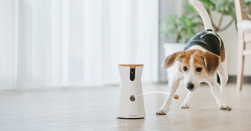 Furbo dog camera Furbo dog camera