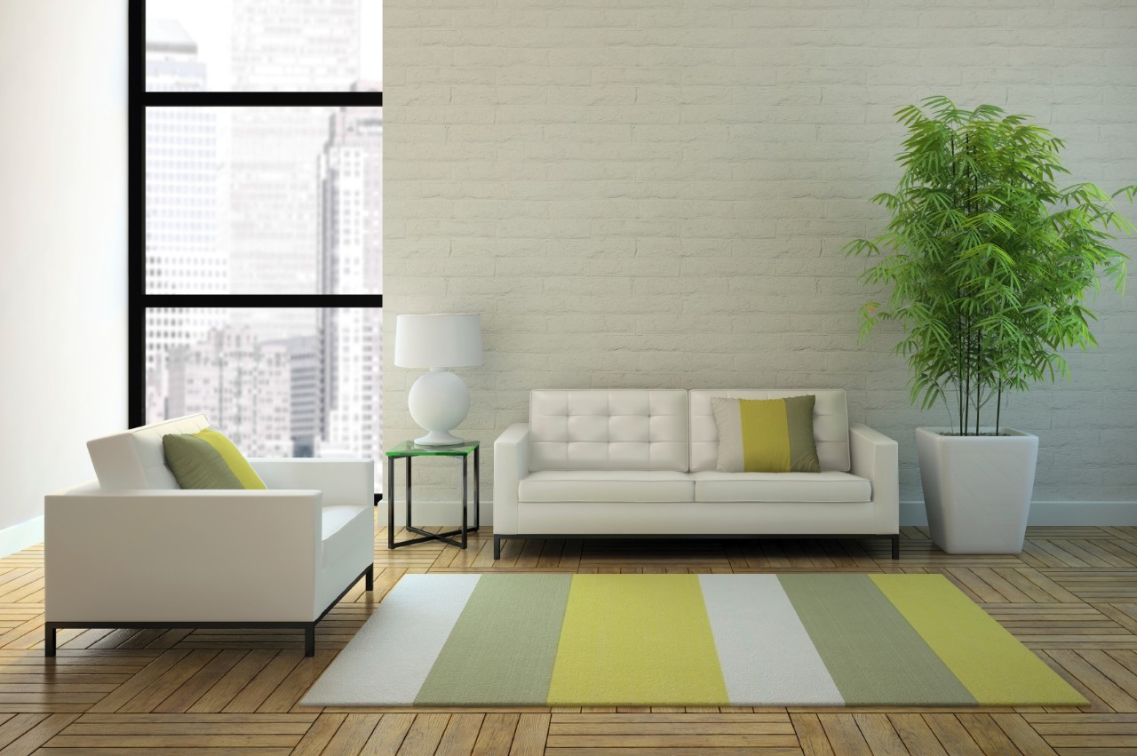Woonkamer met een los vloerkleed, minder geschikt voor senioren Woonkamer met een los vloerkleed, minder geschikt voor senioren