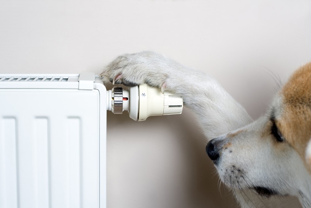 Bestaande radiatoren vaak geschikt voor hybride warmtepomp Bestaande radiatoren vaak geschikt voor hybride warmtepomp